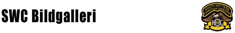 text o logo view svrt1